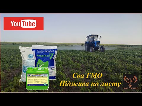 ❗❗❗СОЯ ГМО, піджива