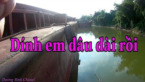 Câu cá ngạnh sông lại gặp hàng dâu dài - Câu cá sông Lục Nam