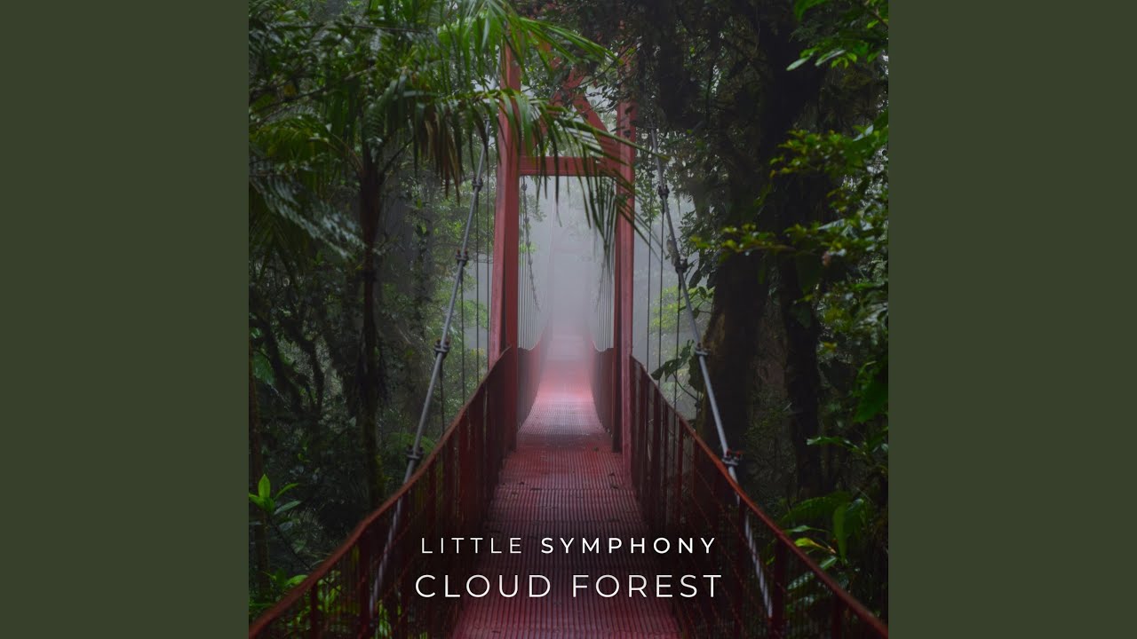 Cloud Forest bekijken op YouTube Cloud Forest bekijken op YouTube