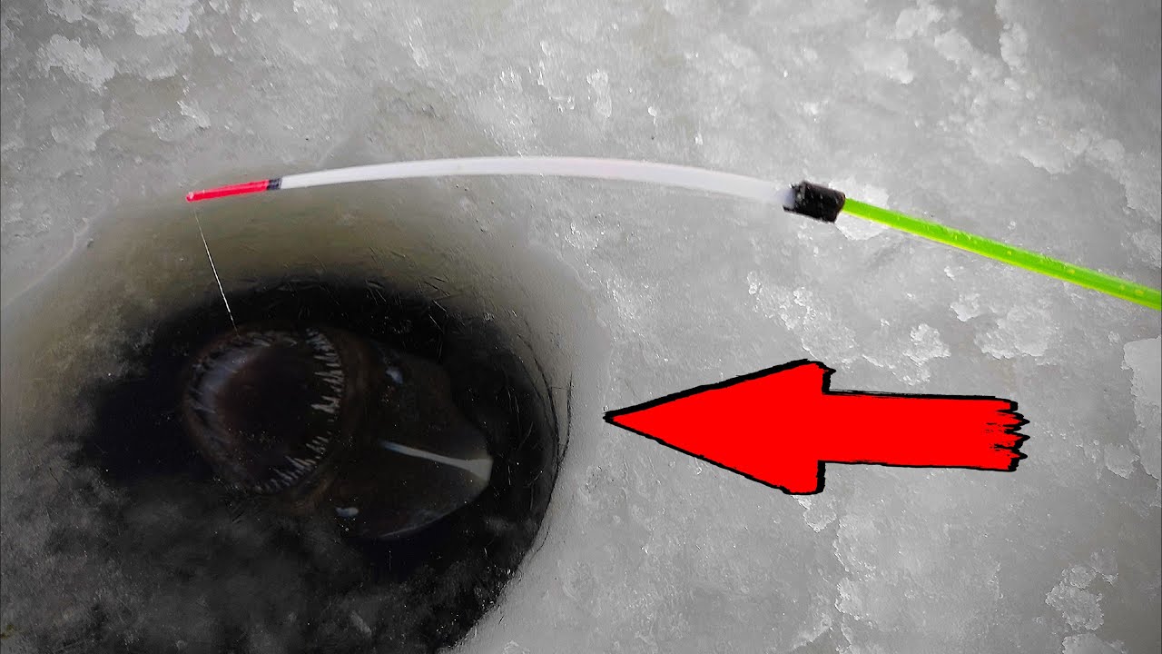 КРУПНОЕ ВЫШЛО ПО ПЕРВОМУ ЛЬДУ! Не думал поймать ТАКИХ МУТАНТОВ! Рыбалка 2025