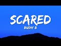 Bushy B - Scared (Official Lyric Video)