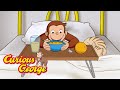 How to stay healthy  curious george  kids cartoon  kids movies