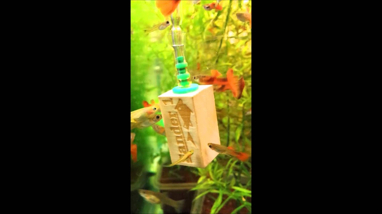 DIY Oxydator o2 - YouTube