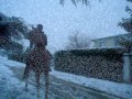 Balade  cheval sous la neige fvrier 2012  touraine cheval