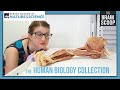 The Human Biology Collection