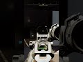 I think we lost the plot #callofduty #cod #blackops #gaming #friends #funny #freaky#callofdutyvideos
