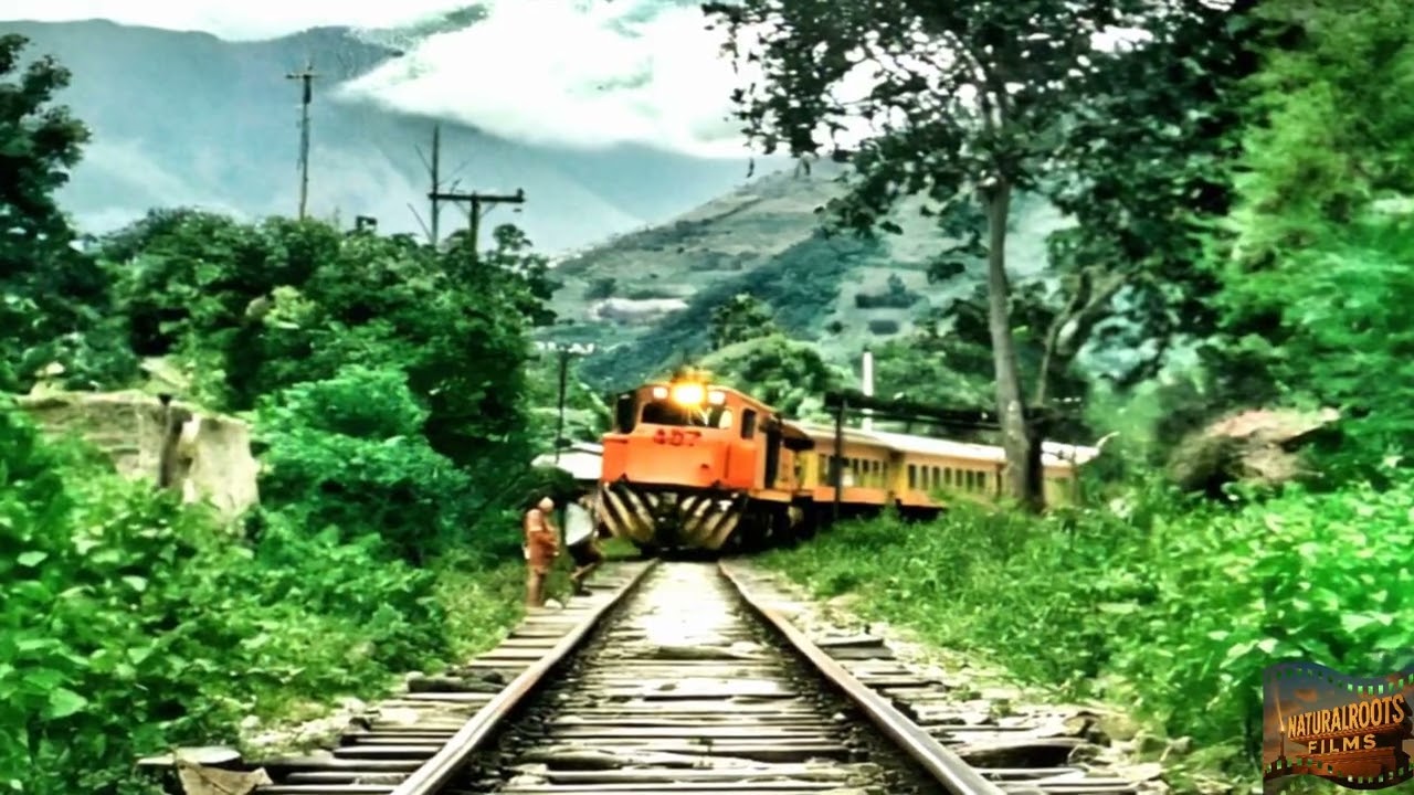 Tren  YANAMACHU    (CUSCO - QUILLABAMBA)