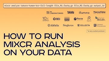 How to run MiXCR 4.x analysis on your data