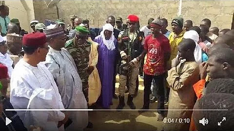 Niger: Boko haram fighters surrender