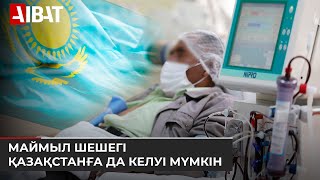 «Маймыл шешегі» әлемнің 15 елінде анықталды