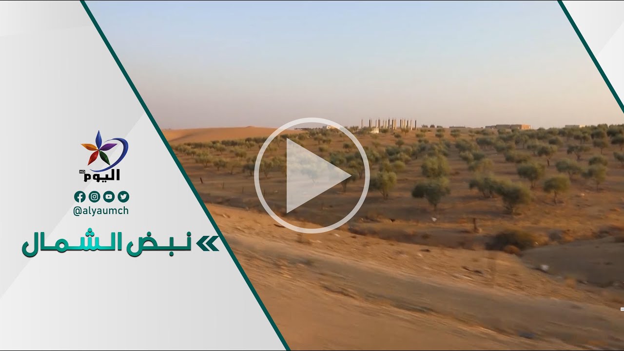 قرية الصفصافة  واحة غنية بعطاء الأرض وكرم الإنسان