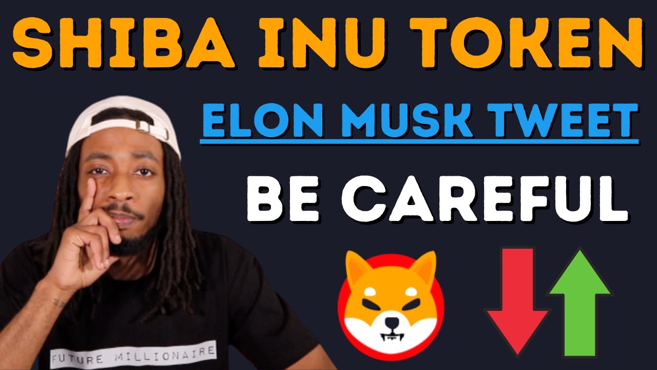 Elon Musk Tweet Shiba Inu (BE CAREFUL)