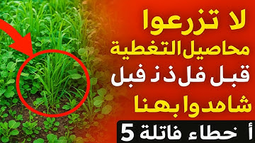 لا تزرعوا محاصيل التغطية الخريفية أبدًا قبل أن تشاهدوا هذا!