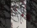 Tere sang gujar jaye#nature #shors#vishub11#subscribe
