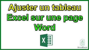 Comment ajuster un tableau excel sur une page word