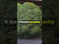 What Happens When You Eat Broccoli Every Day  #nutrition  #wellness  #healthyliving  #healthtips