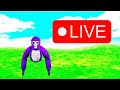 Live stream monke blox!!! @Neeferioo #gtag #vr 