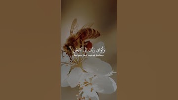 [سورة النحل – الآية 68] القارئ عبد الباسط عبد الصمد
