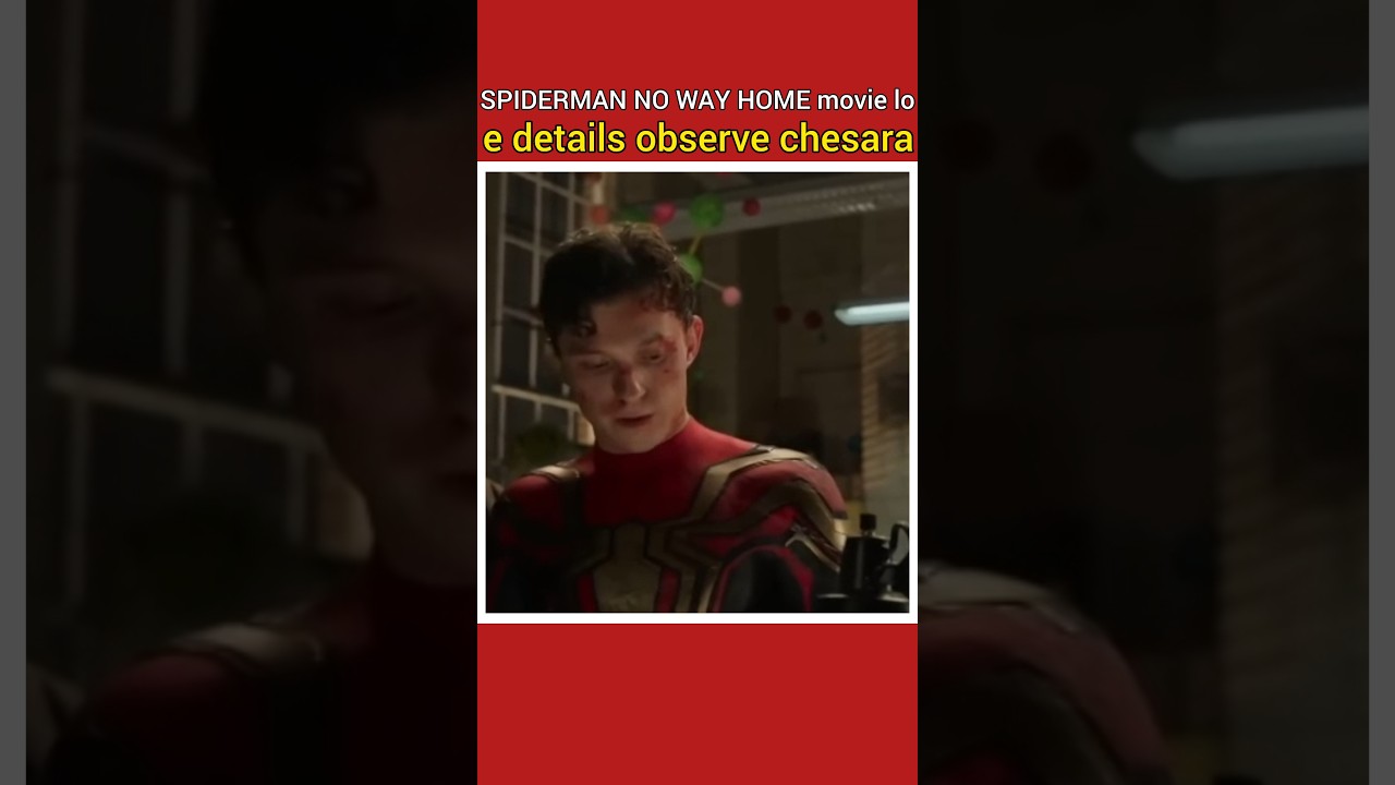 SPIDERMAN movie lo e details observe chesara