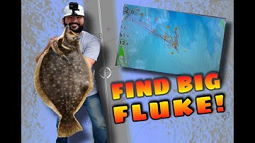 Finding BIG Fluke (Flounder) Spots!