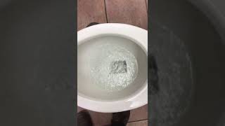 Peebles #5095 Johnstown, NY #2 video