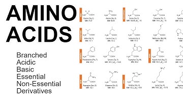 Amino Acids