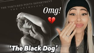 I’m Officially a Swiftie! Taylor Swift - The Black Dog Reaction