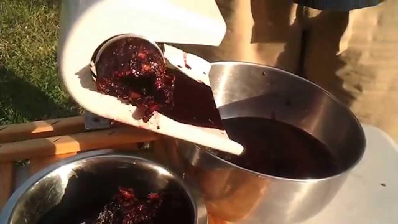 Using a Victorio Food Strainer to process some blackberries YouTube