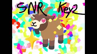 SNR Key 2