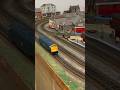 Bachmann class 42 diesel-hydraulic #modelrailway #modelrailwayscene #modelrail