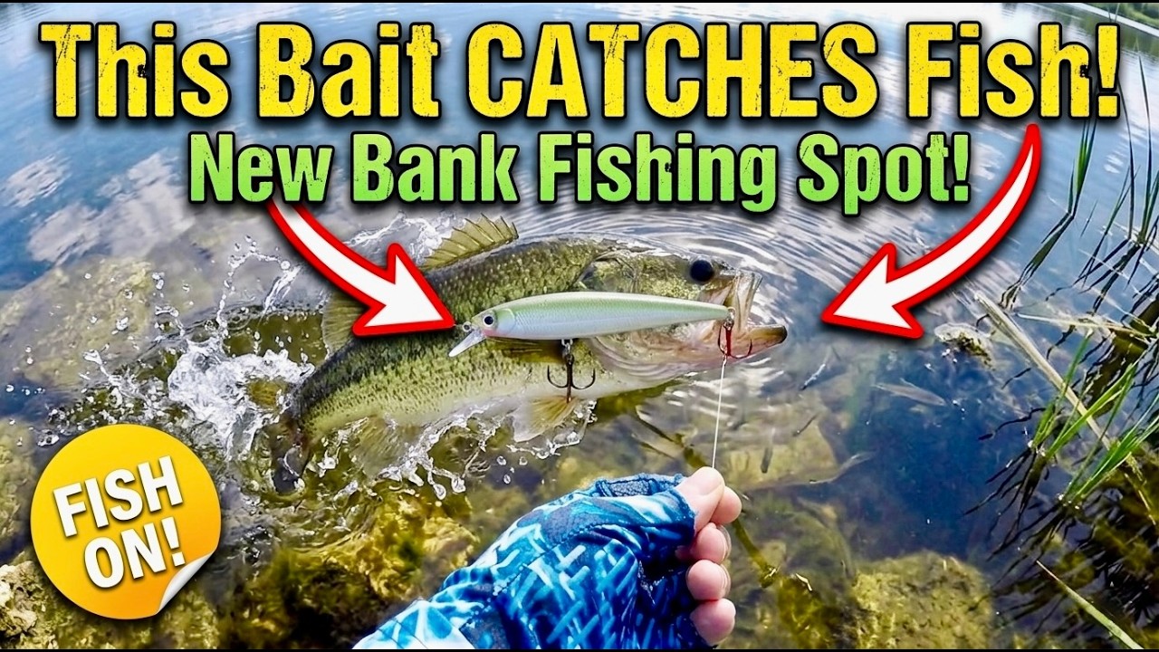 Shore Fishing Bass with THIS Bait ALWAYS WORKS!
