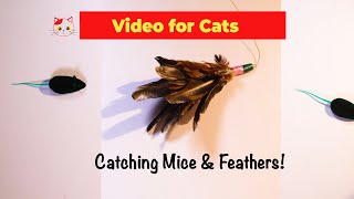 CAT GAMES 3 HOURS! 😸Mice Toys, Feathers and More for Cats to Watch screenshot 5