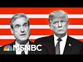 Mueller Report Shows He Chose Not To Charge Trump Because Obstruction Was In Plain View | MSNBC