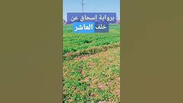 سورة الهمزه برواية إسحاق عن خلف العاشر سوره الهمزه بروايه إسحاق عن خلف العاشر