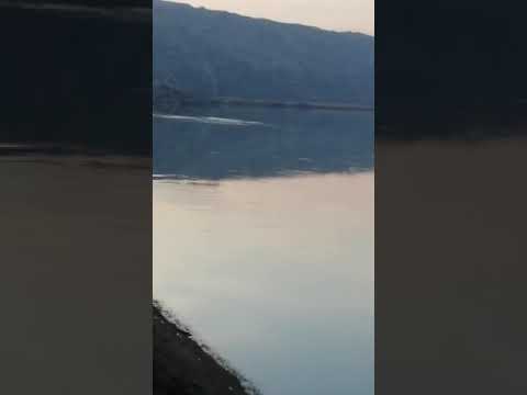 حطيت دمي علا سجرت العشك تانمت