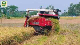 আধুনিক প্রযুক্তিতে ধান কাটার দৃশ্য।আধুনিকের ছোয়া যখন কৃষি কাজে তখন কৃষির উন্নতি তো হবেই।