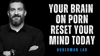 Rewire Your Brain From Porn Addiction  Dr  Huberman U0026 Ryan Soave Reveal The Path To Recovery