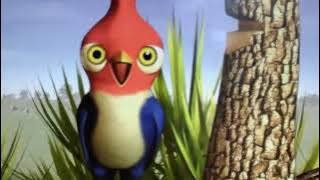 Miss Birdie Gaita