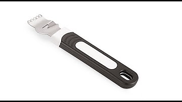 Lemon Zester