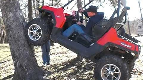 RZR Climbs Tree