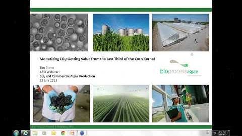 CO2 and Commercial Algae Production