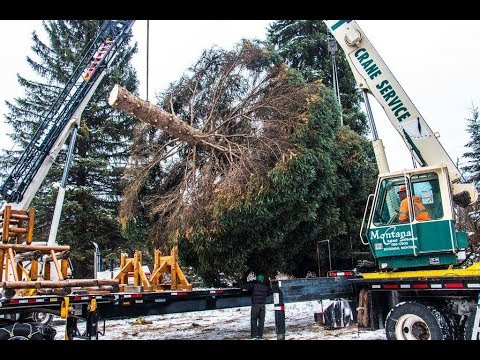 Video: Christmas Fun in Northwest US