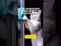 How Instagram Stories Automatically Disappear After 24 Hours⏳#systemdesign #instagram #shorts #reel
