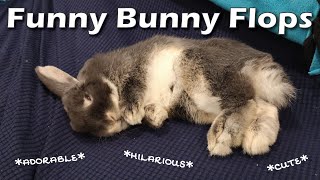 Five Minutes of Funny Bunny Flops!