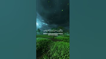 تلاوة قرأنية للقارئ ياسر الدوسري #اكسبلور #القزابري #المصحف #duet #راحة_نفسية #الرحمن