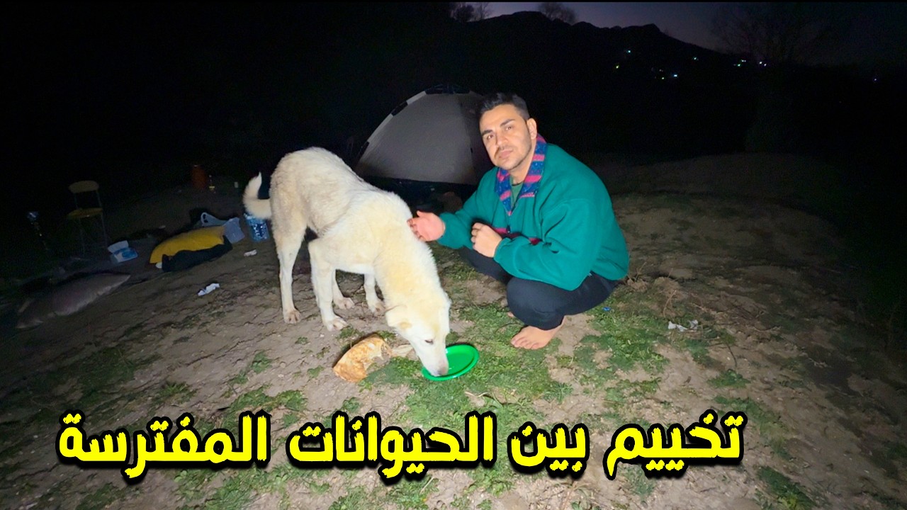 ليلة رعب وسط غابة كردستان العراق | حياة بدون انترنت   