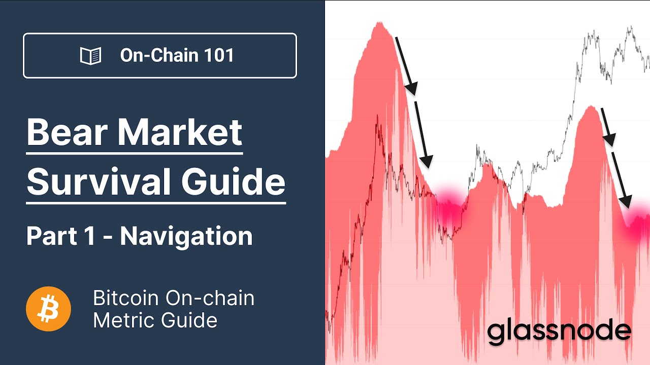 Bitcoin Bear Market Survival Guide, Part 1 - Navigation (Bitcoin Onchain  Analysis 101)