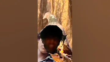 16 August 2025 