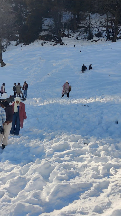 haye main mar hi jau  saiyaara #saiyaara #kishorekumar #old #oldsong #mountains #snow