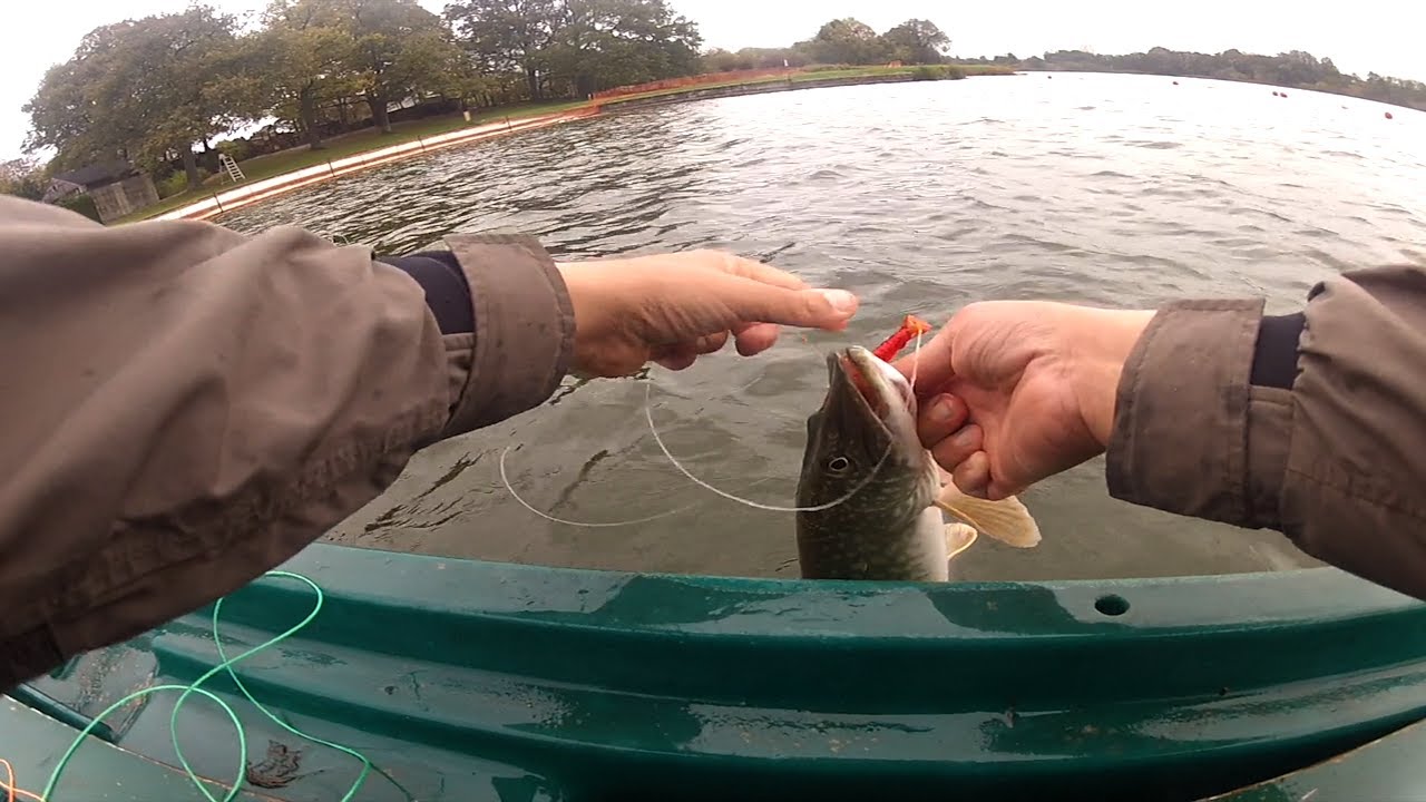 Fly-fishing à Bambois :Brochets en folie